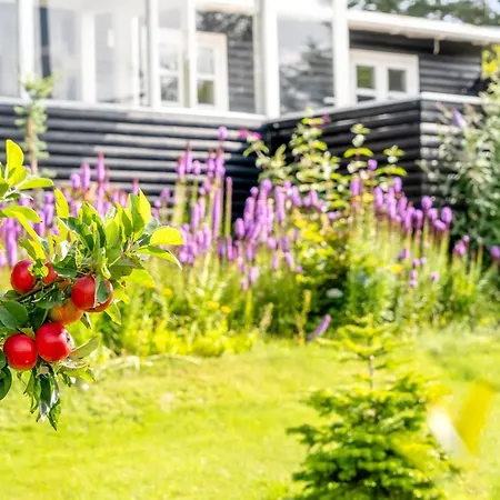 Ferienhaus Amila - 200m To The Inlet By Interhome Struer